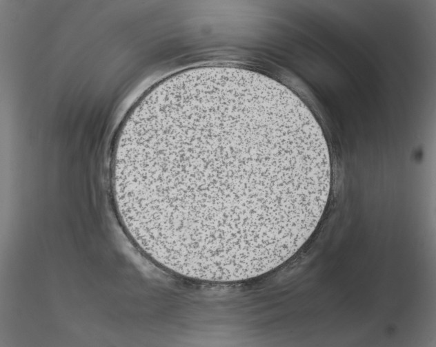 X0000115541099200912181523