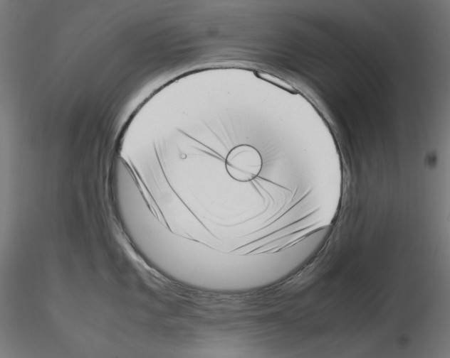 X0000115541101200912181523