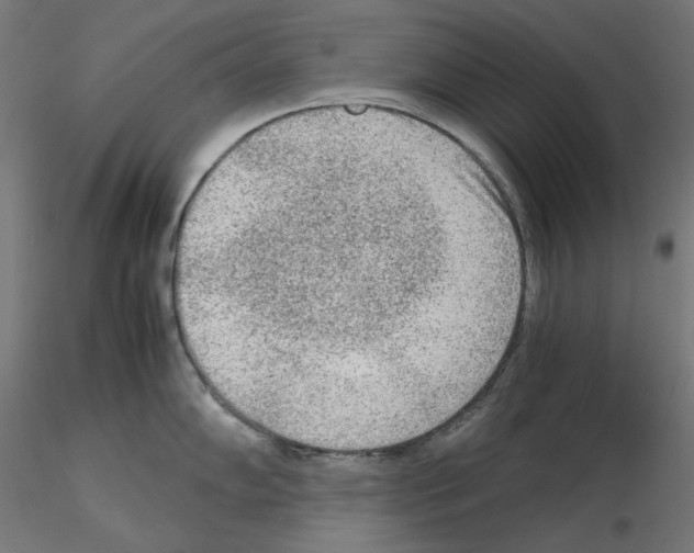 X0000115541102200912181523