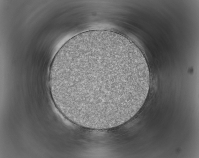 X0000115541103200912181523