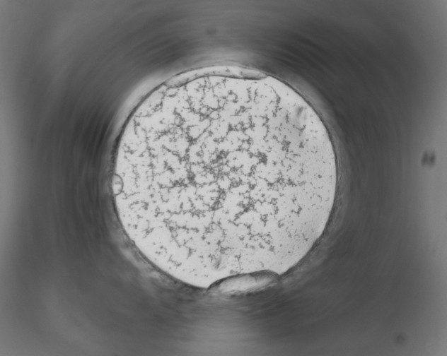 X0000115541104200912181523