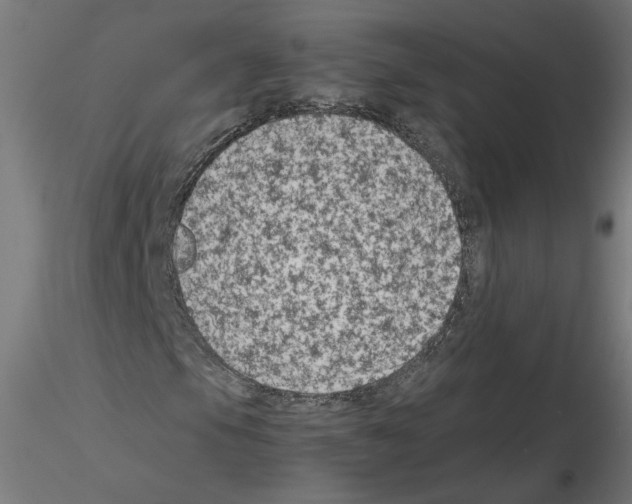 X0000115541105200912181523