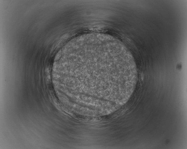X0000115541106200912181523