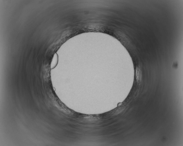 X0000115541107200912181523