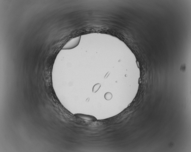 X0000115541109200912181523