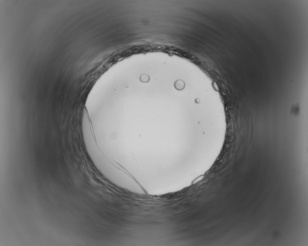 X0000115541110200912181523