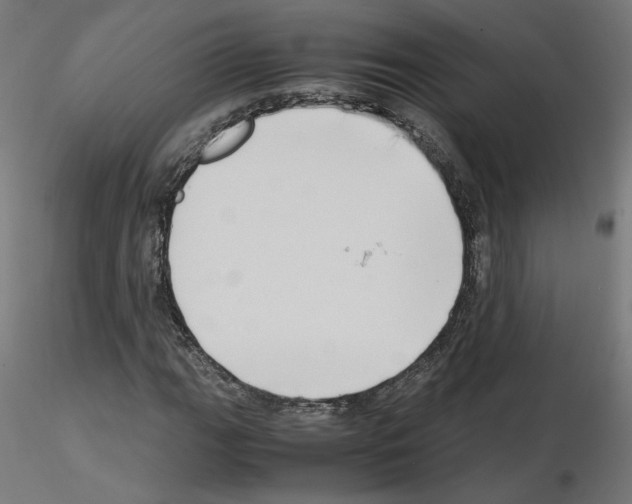 X0000115541111200912181523
