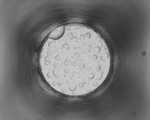 X0000115541113200912181523