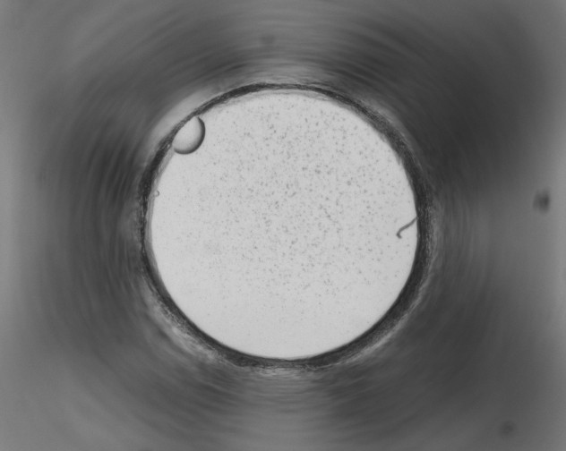 X0000115541114200912181523