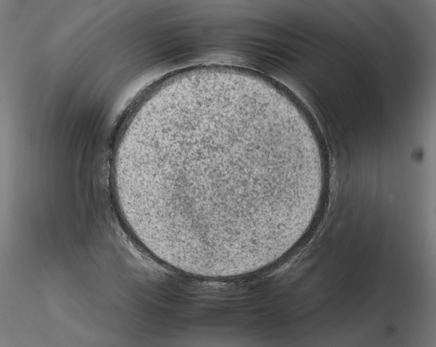X0000115541115200912181523