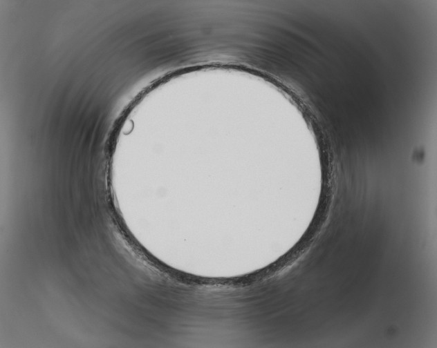 X0000115541118200912181523