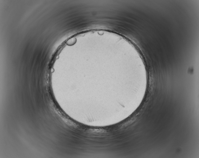 X0000115541119200912181523