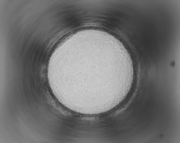 X0000115541121200912181523