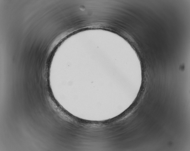 X0000115541122200912181523