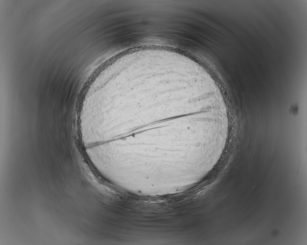 X0000115541125200912181523