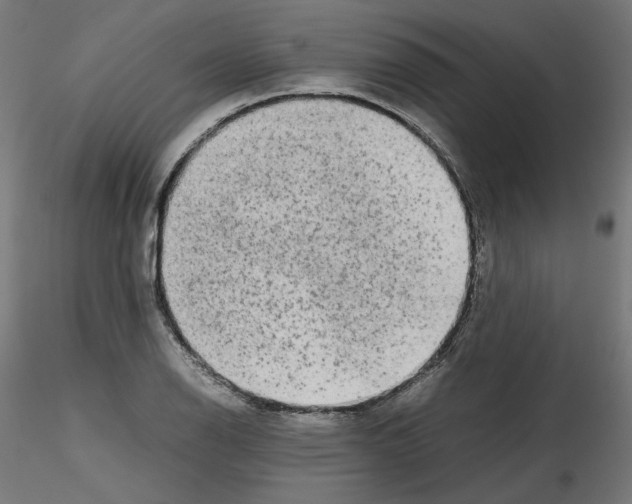 X0000115541126200912181523