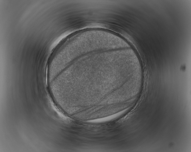 X0000115541127200912181523