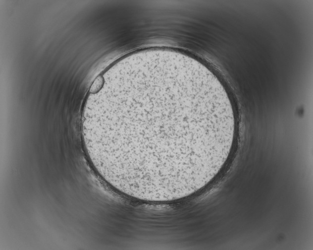 X0000115541129200912181523