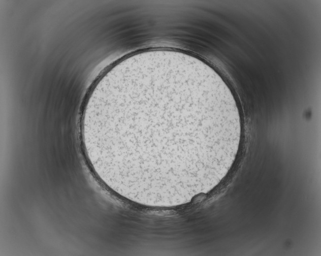 X0000115541133200912181523