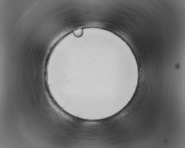 X0000115541135200912181523
