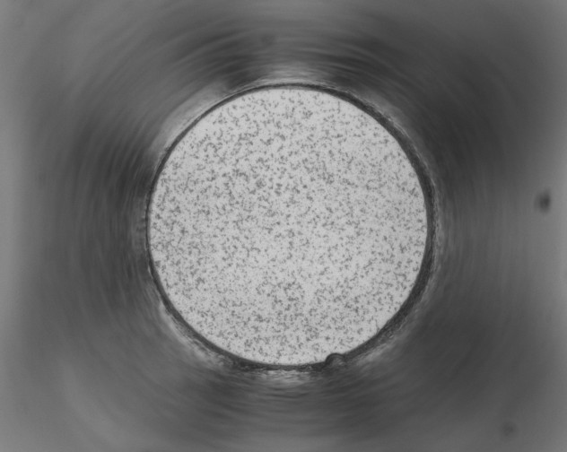 X0000115541137200912181523