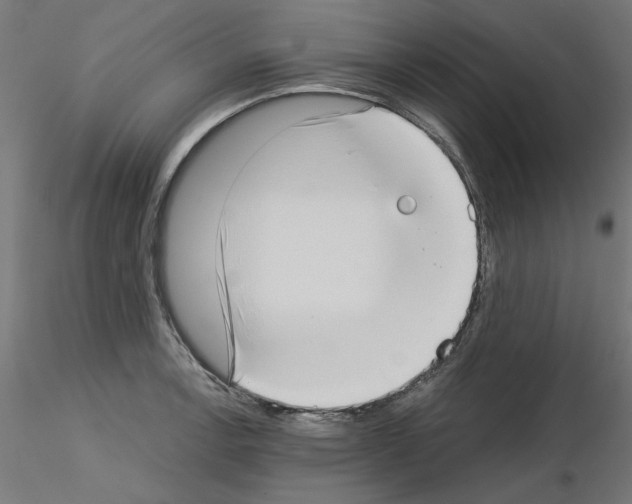 X0000115541138200912181523