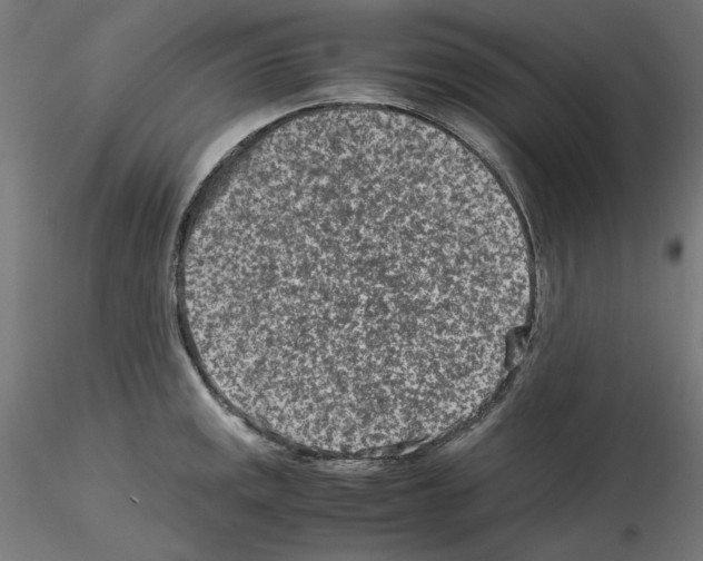 X0000115541141200912181523