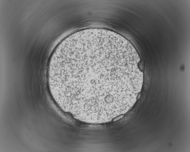 X0000115541142200912181523