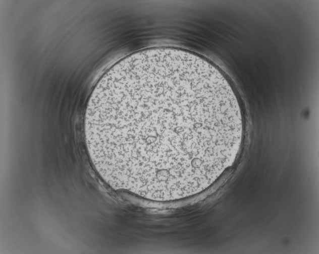 X0000115541145200912181523