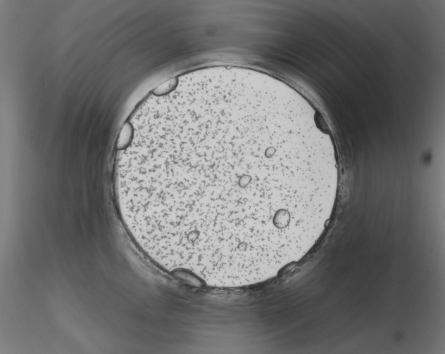 X0000115541146200912181523