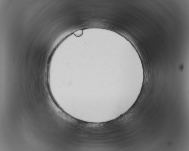 X0000115541147200912181523