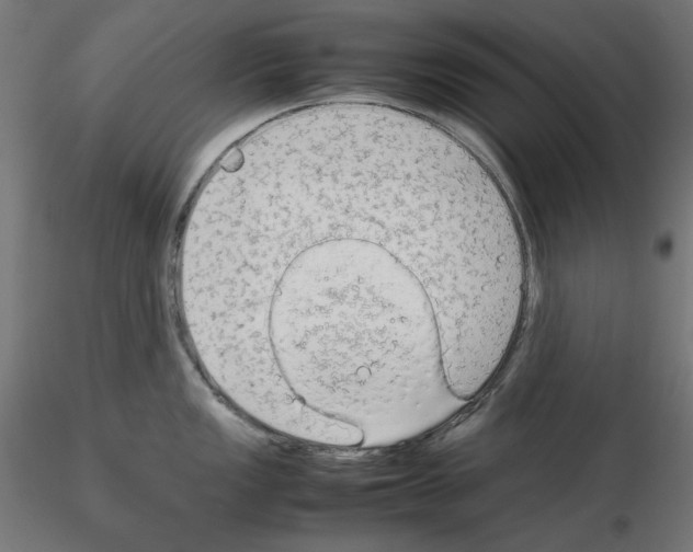 X0000115541149200912181523