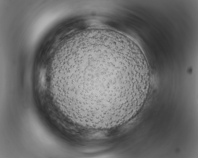 X0000115541150200912181523