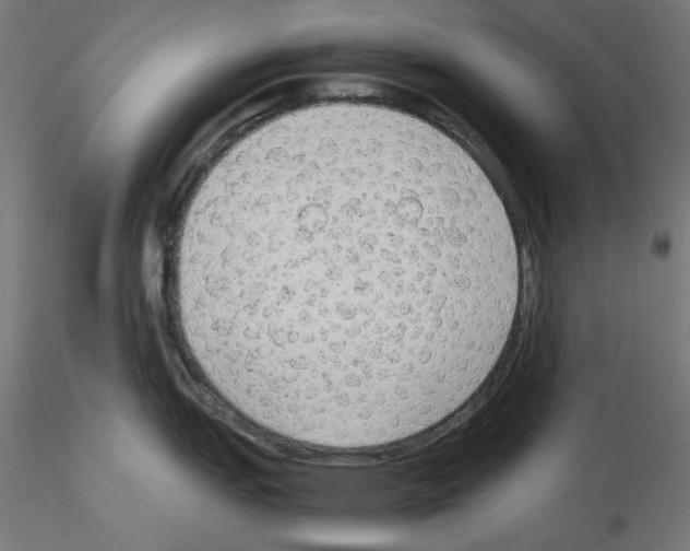 X0000115541151200912181523