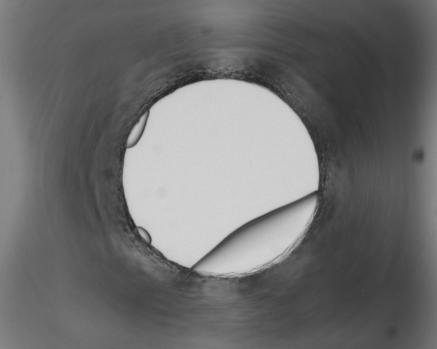 X0000115541153200912181523