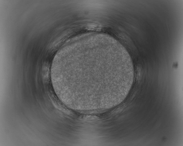 X0000115541154200912181523