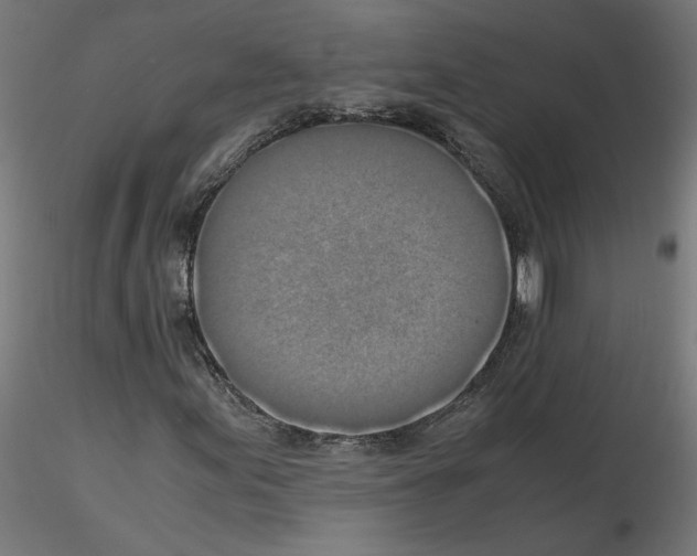 X0000115541155200912181523