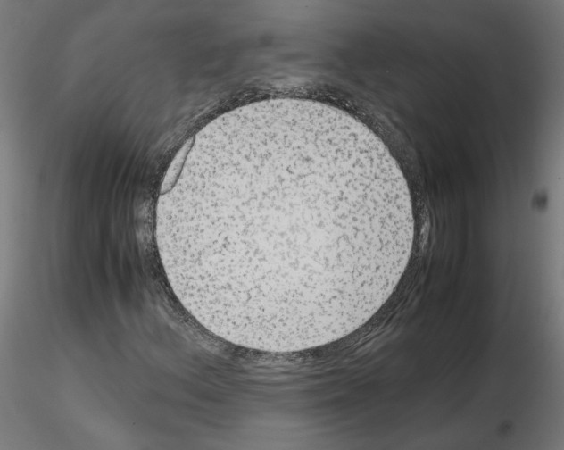 X0000115541156200912181523