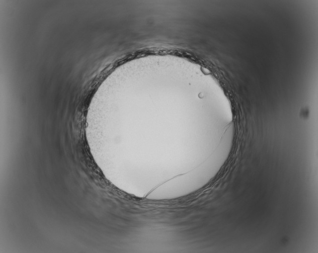 X0000115541157200912181523