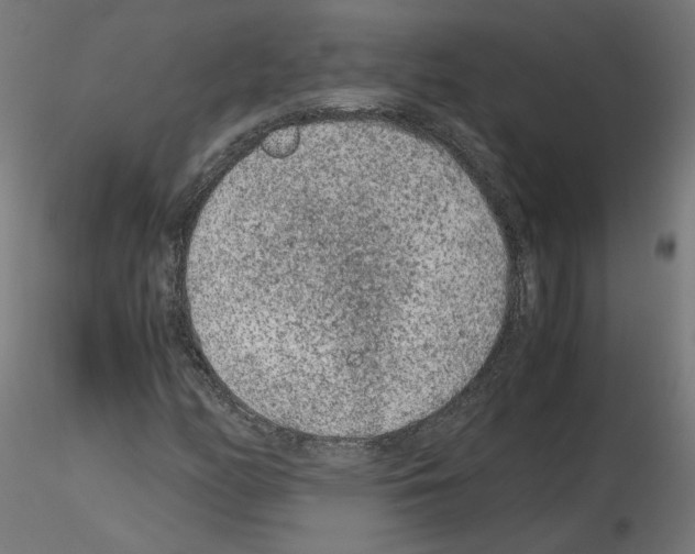 X0000115541158200912181523