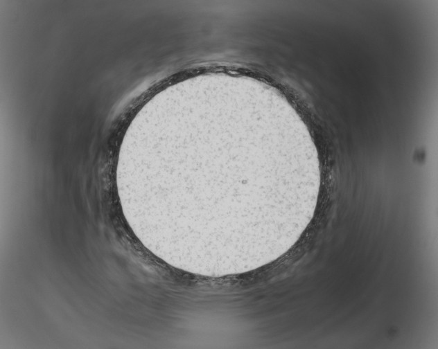 X0000115541159200912181522