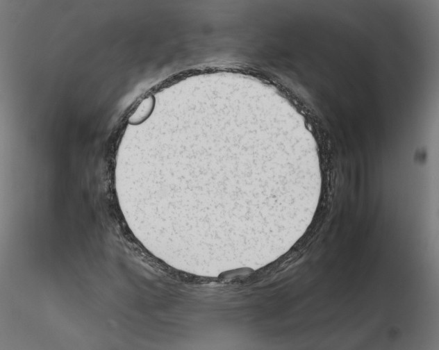 X0000115541160200912181522