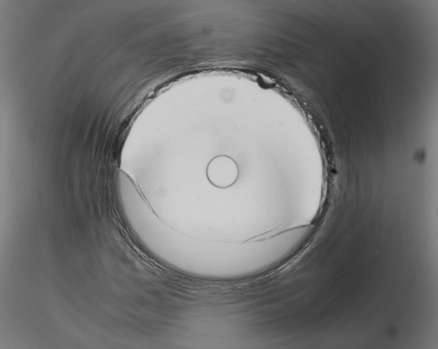 X0000115541161200912181522
