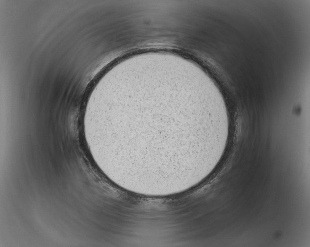 X0000115541162200912181522