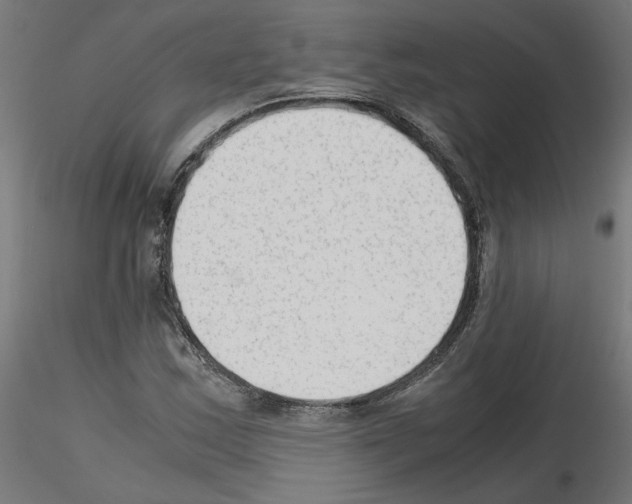 X0000115541163200912181522