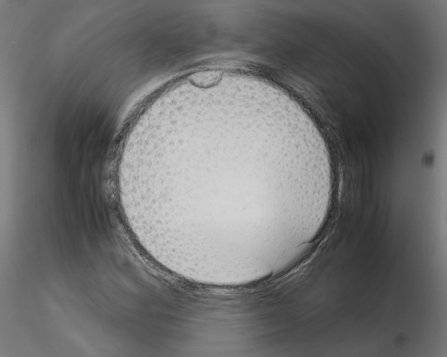 X0000115541164200912181522