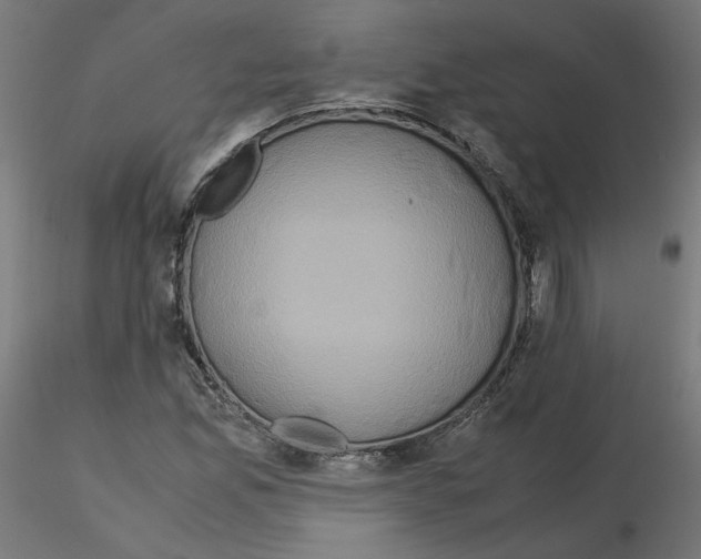 X0000115541165200912181522