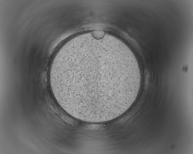 X0000115541166200912181522