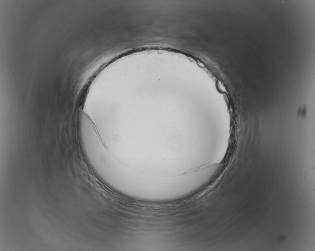 X0000115541167200912181522