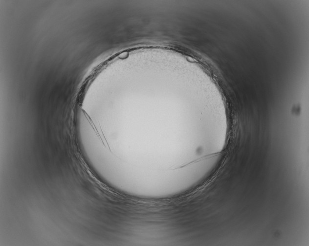 X0000115541168200912181522